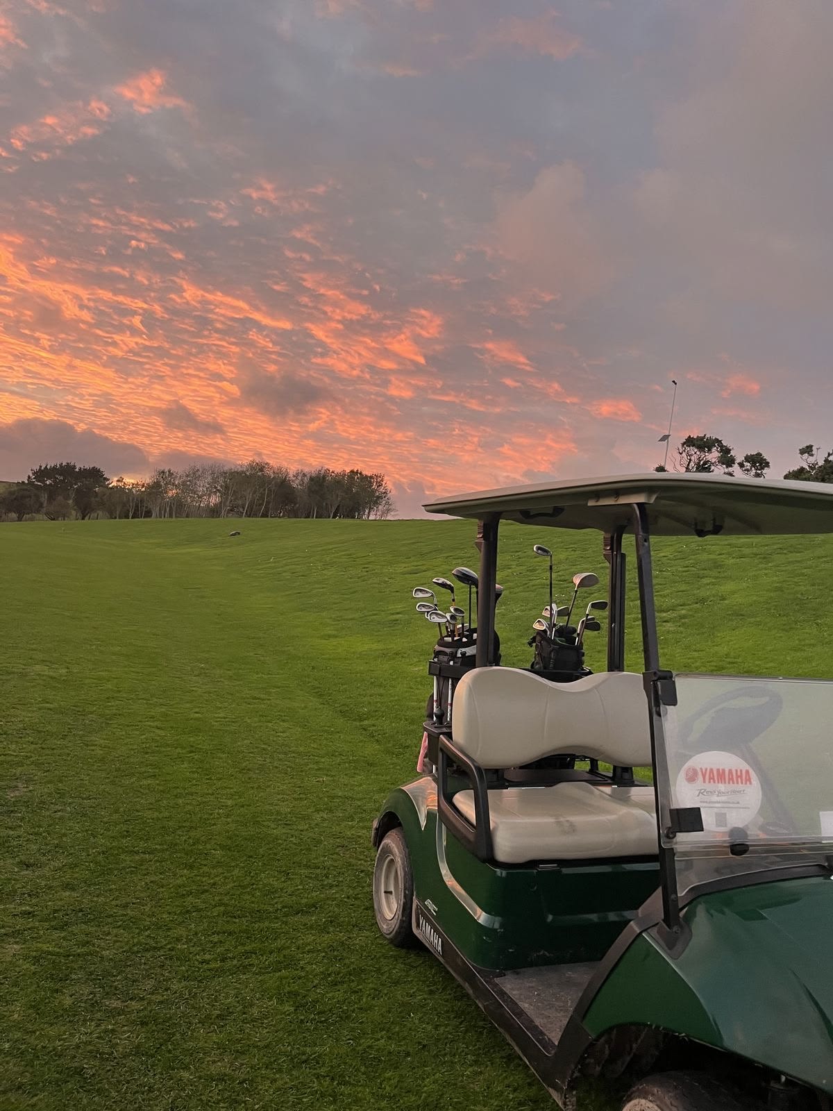 The Best Places to Play Golf in Cancun Between Caribbean Views, Mangroves, and Fairways