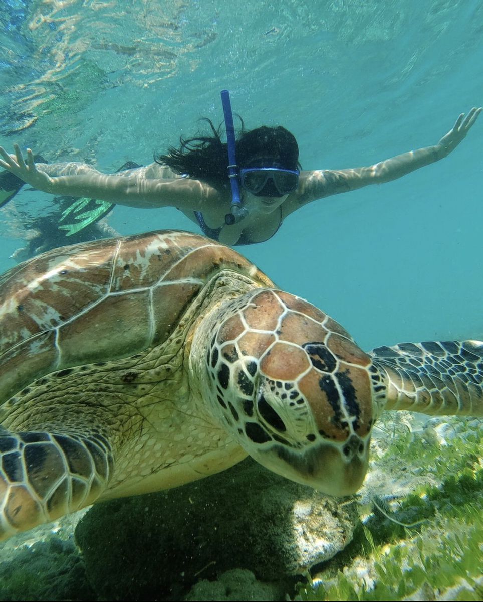 8 Water Activities in Cancun That Will Make You Never Want to Leave the Ocean